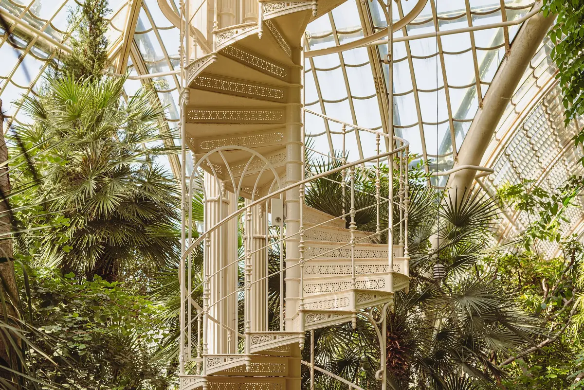 Palms and a spiral staircase inside the Palm House