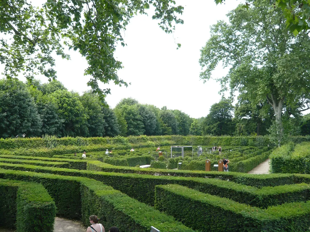 The hedges of the maze in the Schönbrunn park